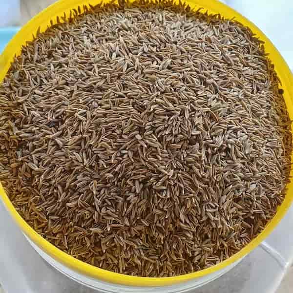 تصویر 3 از خرید و قیمت زیره سبز + فروش عمده